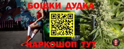 крисы Краснодар