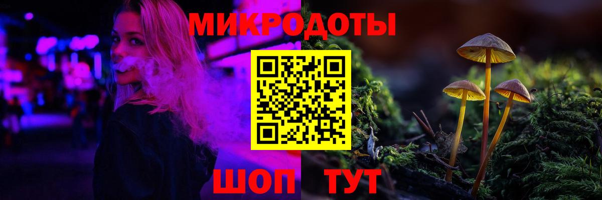 Псилоцибиновые грибы Psilocybine cubensis Каменск-Уральский